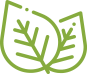 Green plant leaves icon